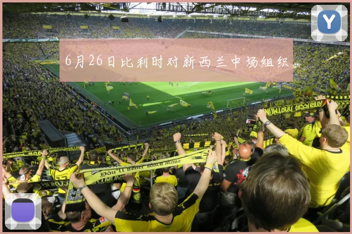 6月26日比利时对新西兰中场组织