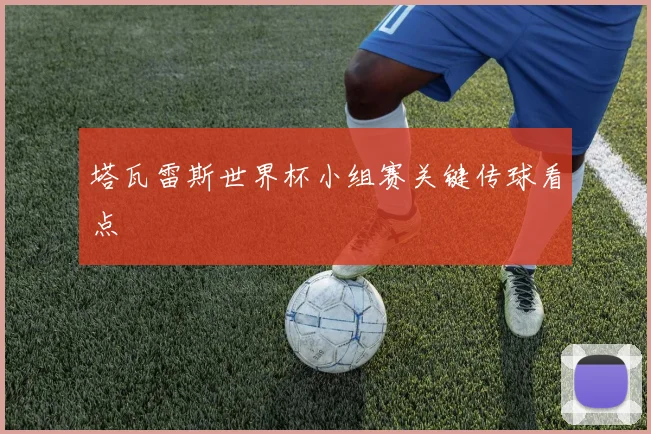 塔瓦雷斯世界杯小组赛关键传球看点