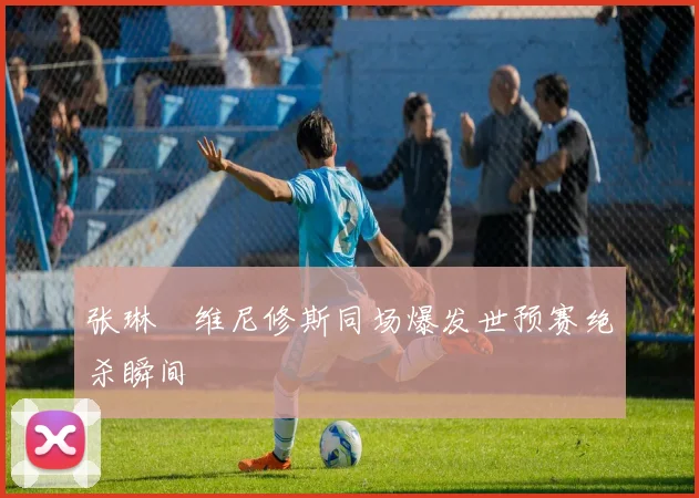 张琳芃维尼修斯同场爆发世预赛绝杀瞬间