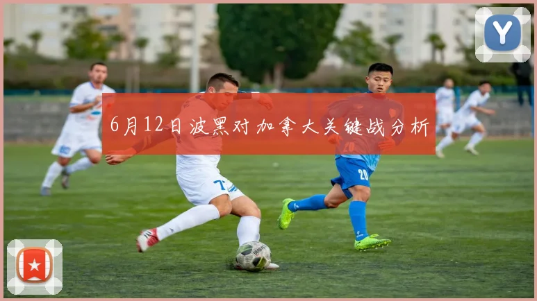6月12日波黑对加拿大关键战分析