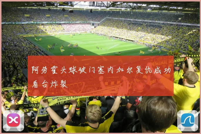 阿劳霍头球破门塞内加尔复仇成功看台炸裂