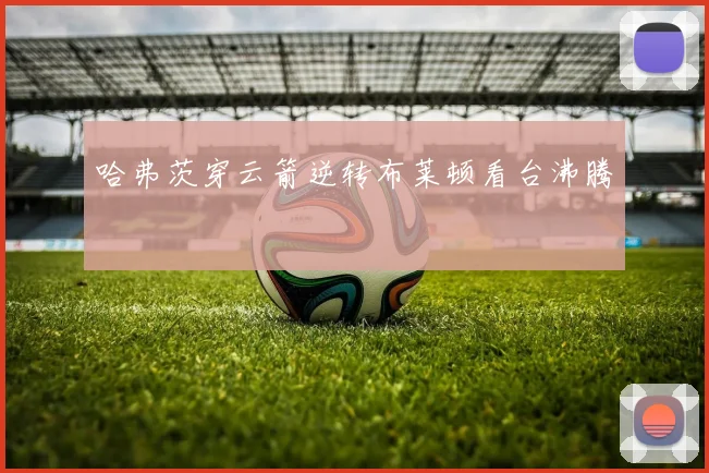 哈弗茨穿云箭逆转布莱顿看台沸腾