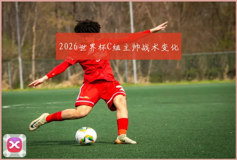 2026世界杯C组主帅战术变化