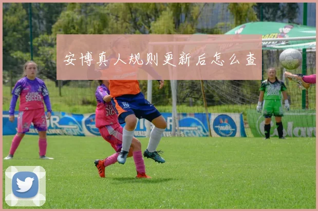 安博真人规则更新后怎么查